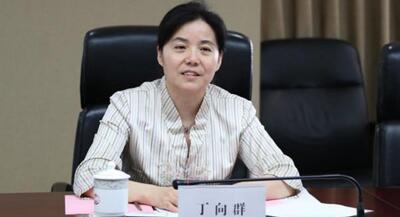 廣西副主席丁向群，調任安徽省委常委、組織部部長，曾任國開行副行長(丁向群簡歷)