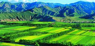 廣西農(nóng)村投資集團(tuán)待遇怎么樣？廣西農(nóng)業(yè)信貸擔(dān)保公司工資多少？中層如何？
