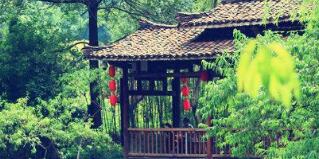 廣西廣投文化旅游公司梅以軍簡歷，廣西廣投文旅和廣西投資集團(tuán)啥關(guān)系？