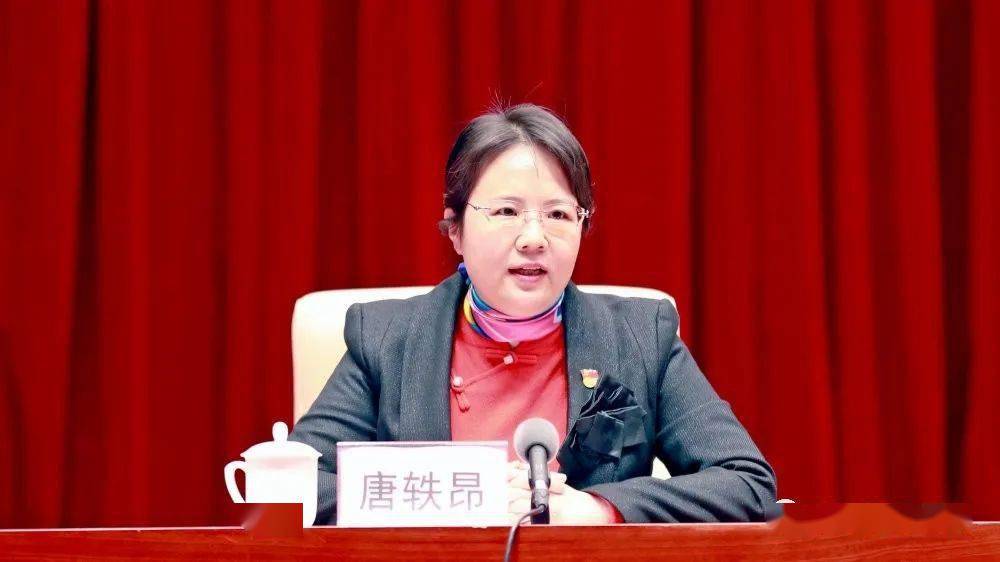 唐軼昂任防城港市委副書記、市長候選人，班忠柏任廣西民宗委主任（唐軼昂|班忠柏簡歷）