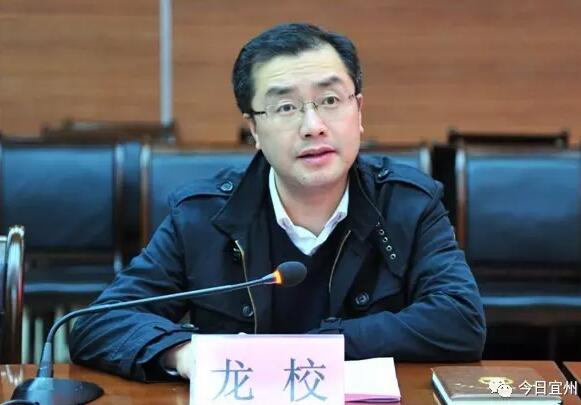 龍校簡歷：欽州市副市長、公安局局長龍校，曾任玉林市副市長、公安局局長，羅棋權任廣西政法委副書記（羅棋權簡歷）