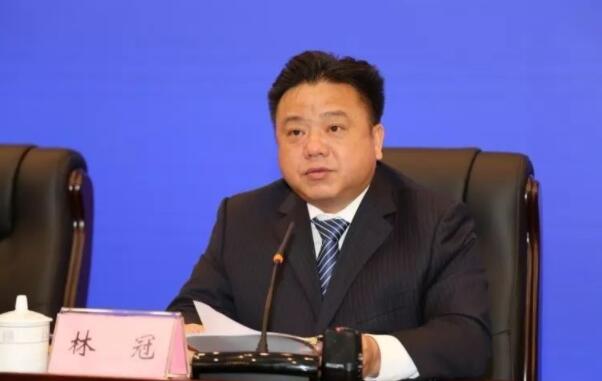 林冠簡歷：林冠任欽州市委書記，曾任賀州市委書記、市長，北部灣投資集團董事長