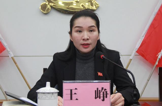 王崢簡歷：桂林市委巡察組組長王崢，曾任平樂縣委常委、紀委書記