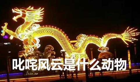 叱咤風(fēng)云是什么動物？叱咤風(fēng)云的意思是什么動物的生肖？